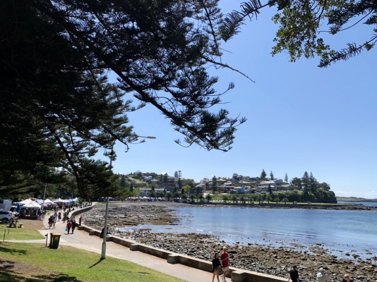  [NSW]Kiama Makers & Growers Market::키아마 마켓/The Shellharbour Club::쉘하버,울릉공 펍 키즈플레이그라운드