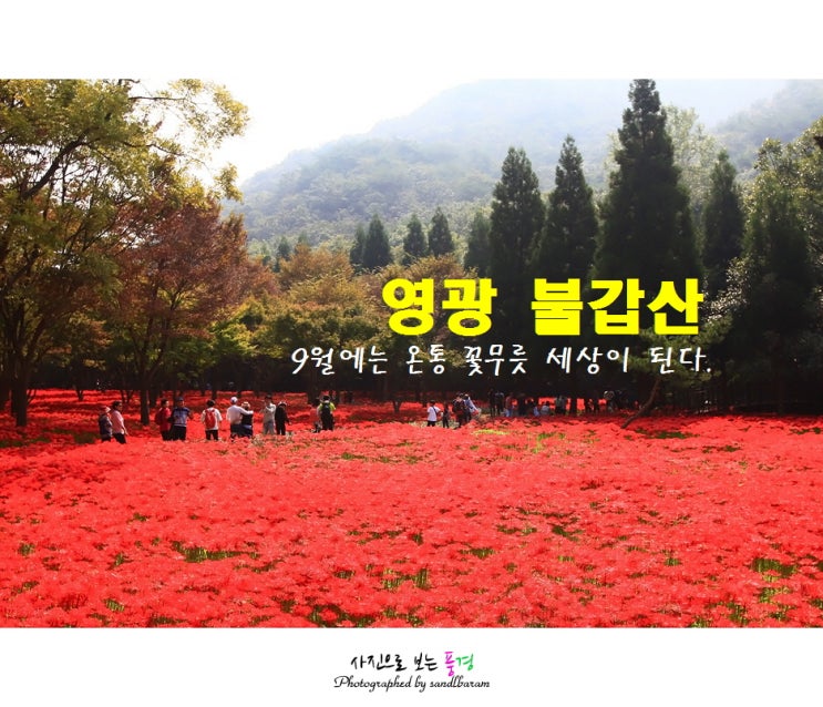  <100대명산> 영광 불갑산(연실봉 516m)등산코스, 9월에 상사화(꽃무릇) 축제가 열리는 곳(불갑사주차장-덫고개-노적봉-투구봉-장군봉-노루목-연실봉-구수재-불갑저수지-불갑사)