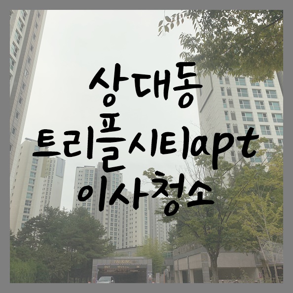  대전이사청소 상대동 도안5블럭 트리플시티 먼지가뭔지가 왔어용