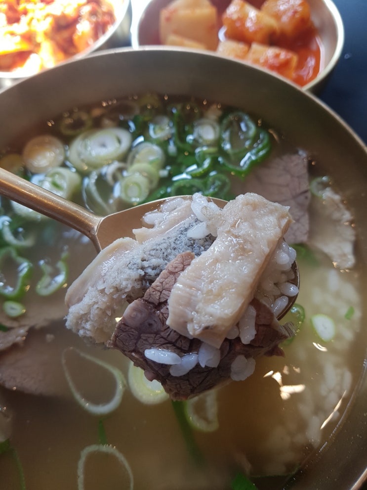  양평 테라로사 카페와 서종옥 한우곰탕, 그 맛은?!