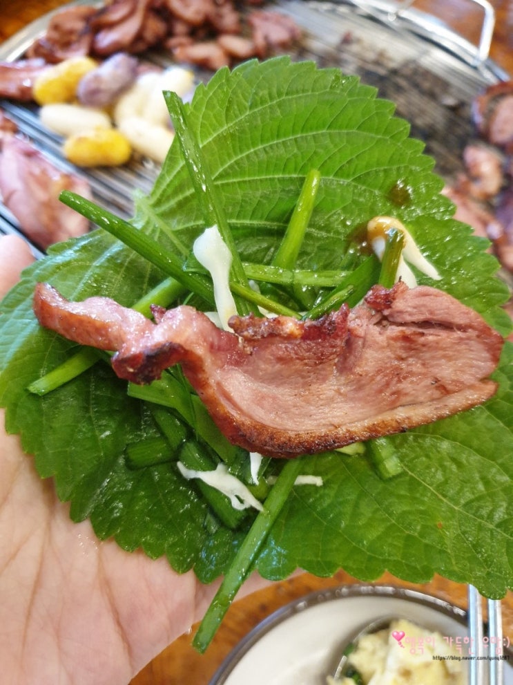  일산 가족외식 하기 좋은 가나안 불고기에서 애니골 오리고기 먹어요