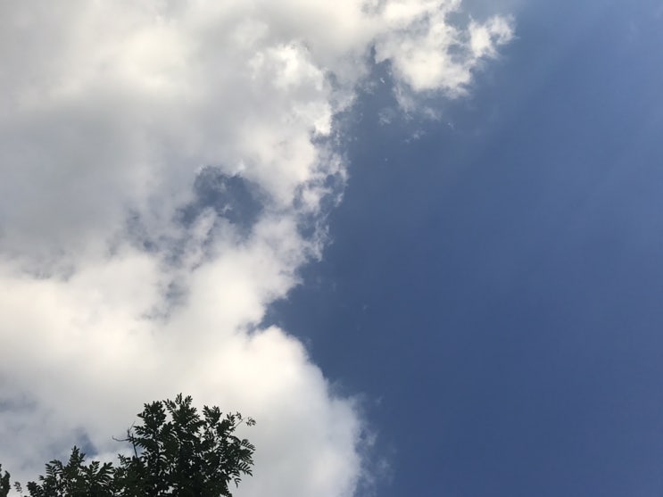  19 8.31 서울, 두 번째