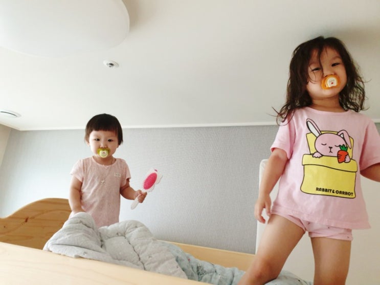  수블리네의 19년 가을일상