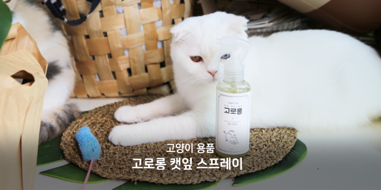  고로롱 캣닢 스프레이 집사를 위한 고양이 용품 스킬업!