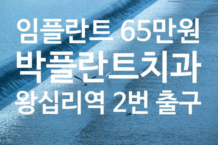  치주염 치료 원인과 예방 (feat.왕십리치과)