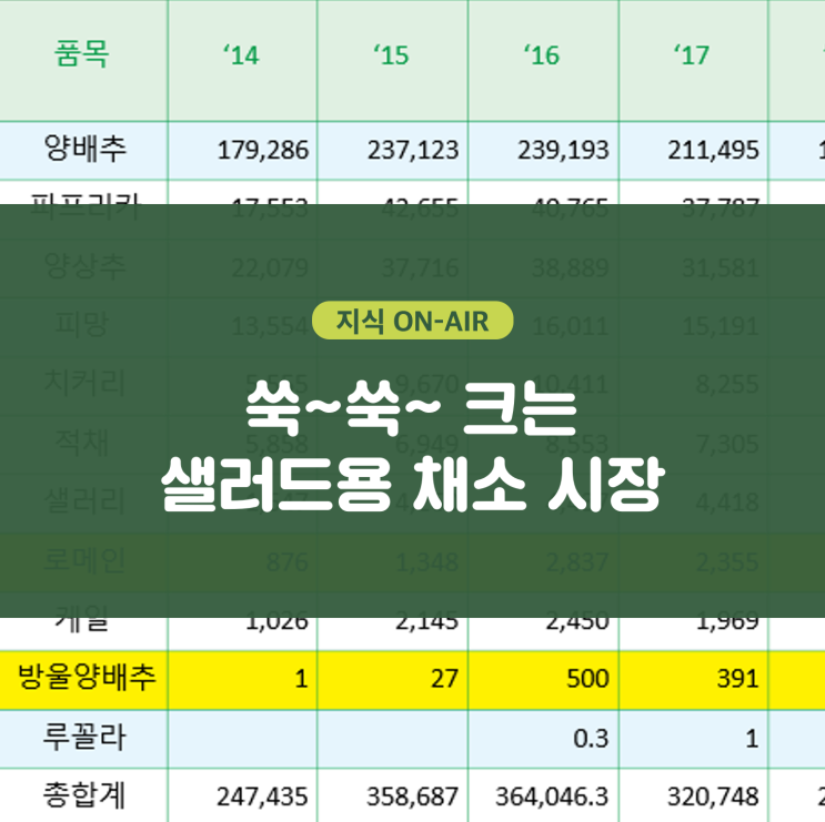  [샐러드용 채소/농업트렌드] 쑥~쑥~ 크는 샐러드용 채소 시장