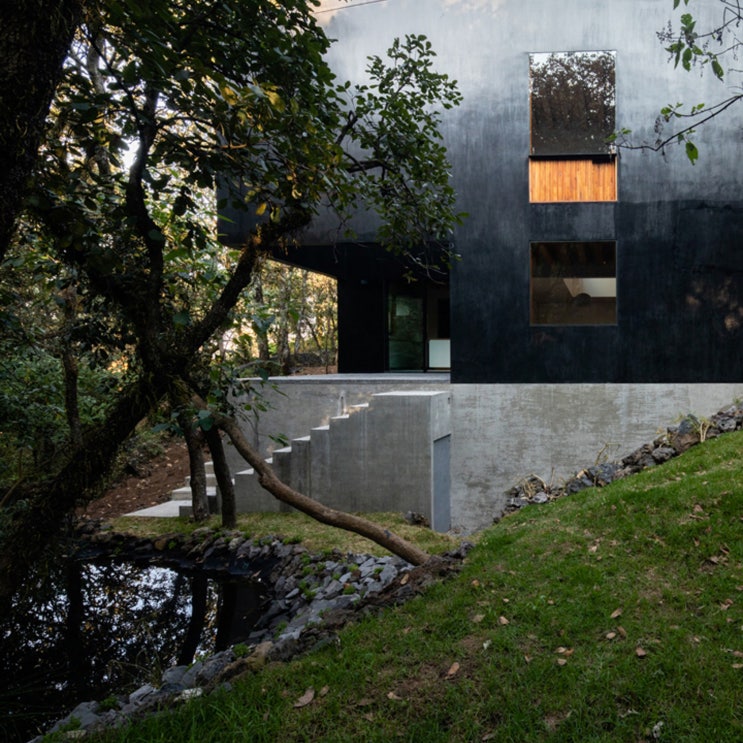 자연과 하나가 된 숲속의 정사각형 주택, Tlalpuente by Pérez Palacios Arquitectos Asociados(PPAA)