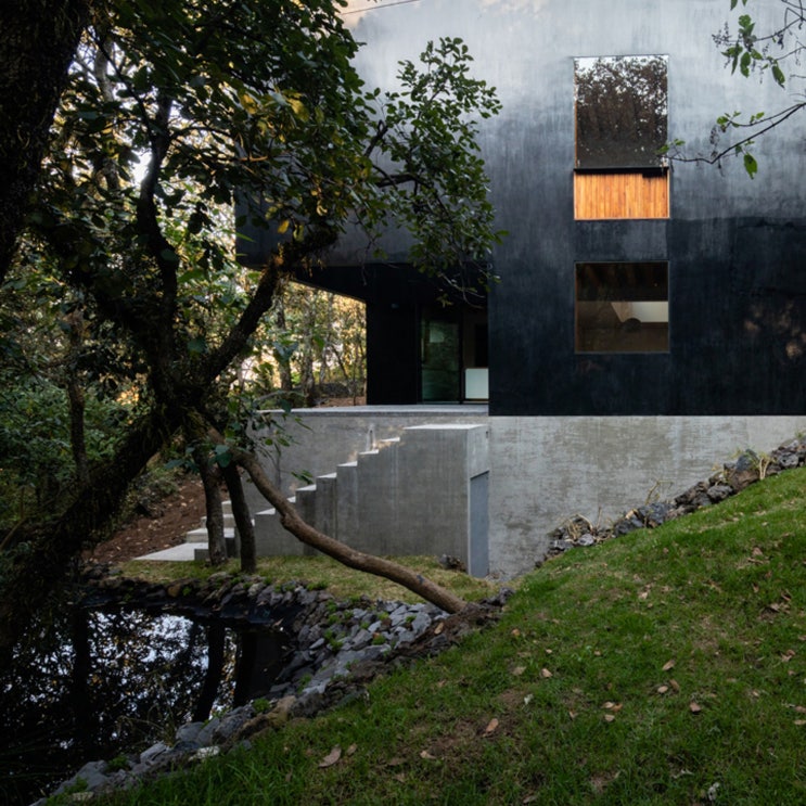  자연과 하나가 된 숲속의 정사각형 주택, Tlalpuente by Pérez Palacios Arquitectos Asociados(PPAA)