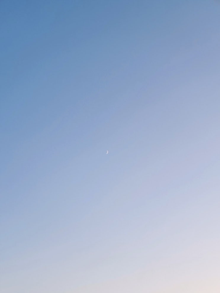  191003_먹고싶은건 생각난 김에 먹어야죠