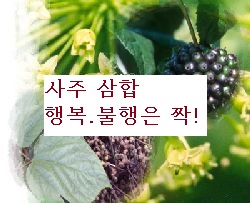 불행의 고통은 행복과 짝으로 왕래 ? 역학 인터넷사주풀이 삼합 !