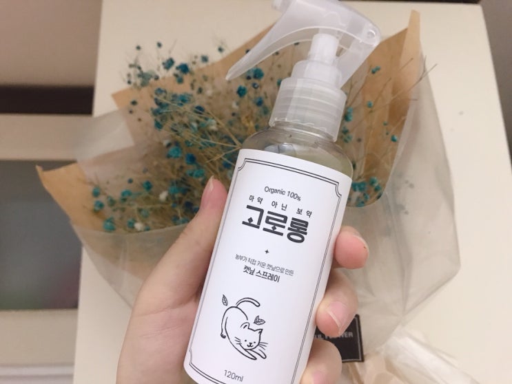  고양이 용품 고로롱 캣닢 스프레이 활용 TIP
