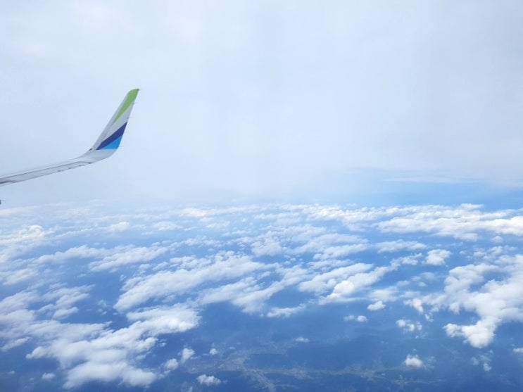  김포-부산 비행기타고 김해공항 갔는데 노트북 분실/ 찾은 후기