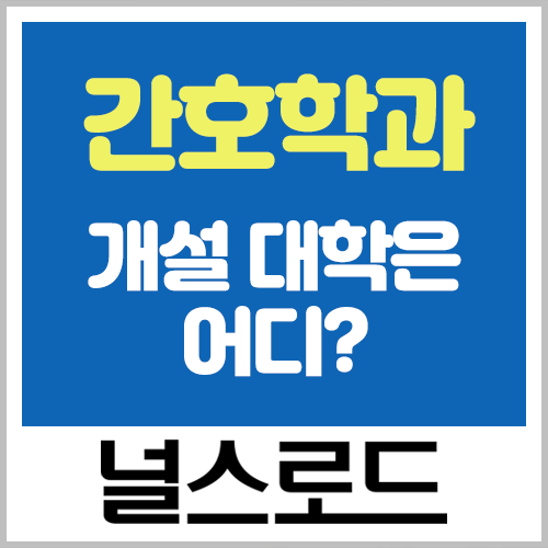  우리나라에 간호학과가 개설되어 있는 대학은 어디?