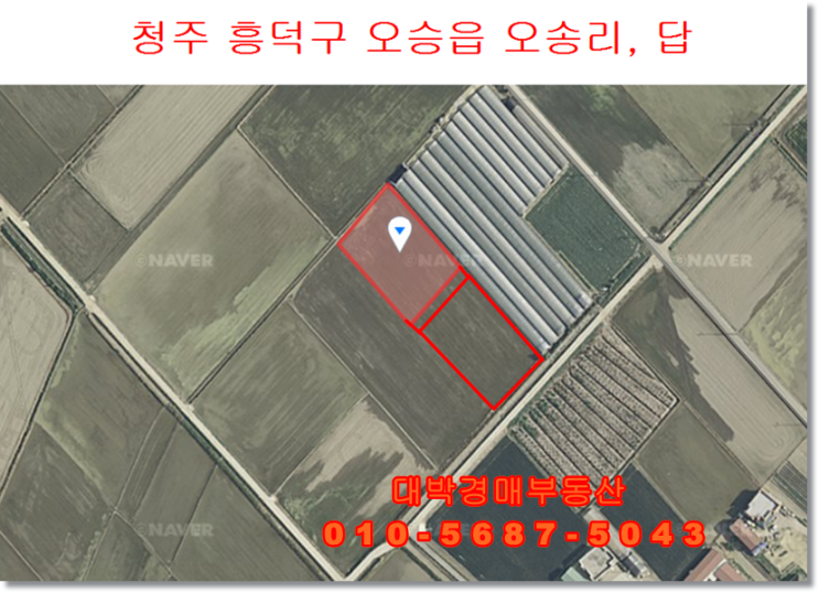  충북경매 청주 흥덕구 오송읍 오송리 토지경매 대박경매부동산 땅