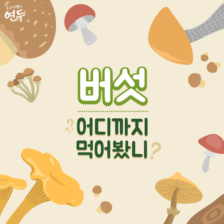  [EVENT] 가을 제철 식재료, 버섯 어디까지 먹어봤니?