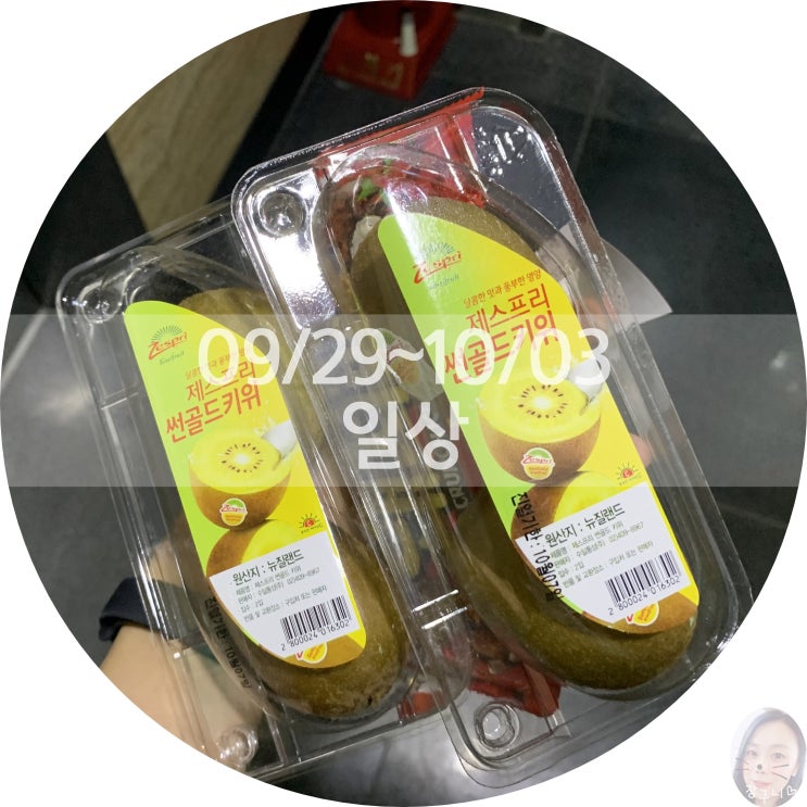  [일상] 비슷한 일상