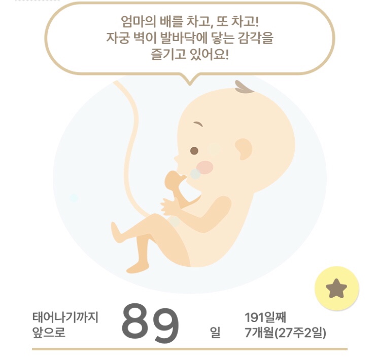  임신 27주: 임산부 맹장 의심, 아랫배통증 ㄷㄷㄷ 공포의 12시간