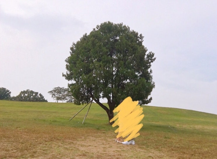  [첫 번째 휴가 DAY2] 올림픽공원 나홀로나무