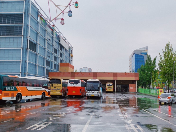  울산 터미널에서 서울 고터까지 당일로 퀵 고속버스 화물 택배 보내는 방법 위치와 가격