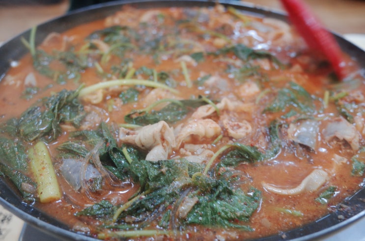  [보은 맛집] 김천식당 - 순대곱창전골 엄지척!
