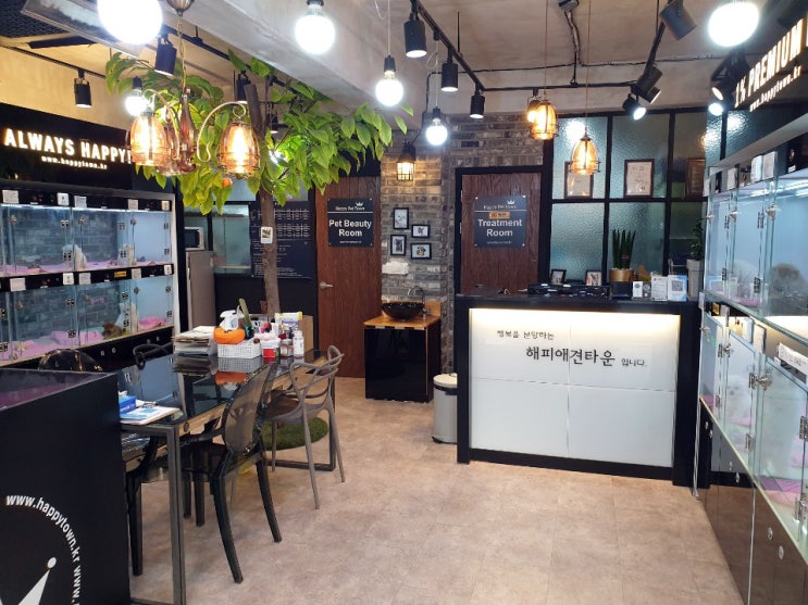  분당강아지분양 다양한 견종들이 많은 곳