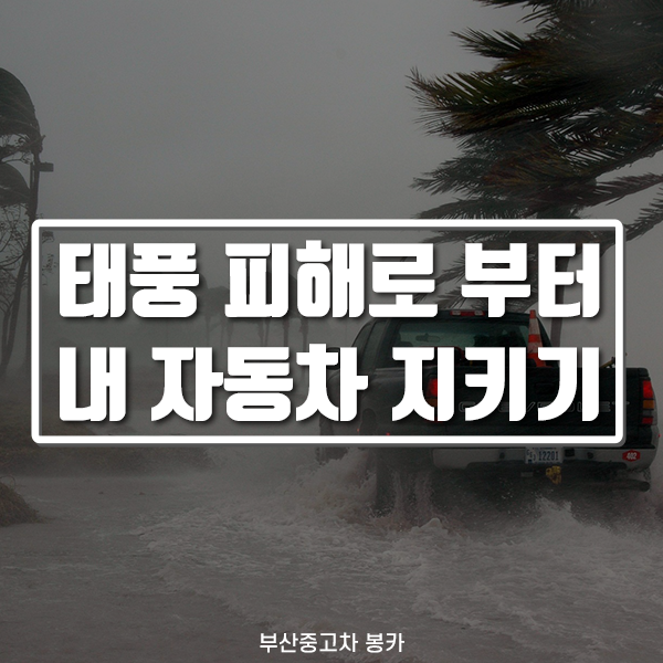  태풍 자동차 대비법, 양산중고차매입 봉카와 알아봅시다!