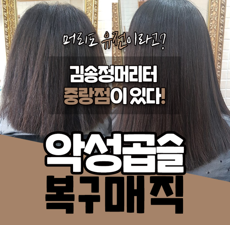 사가정미용실, 악성곱슬이면 찾는 곳!