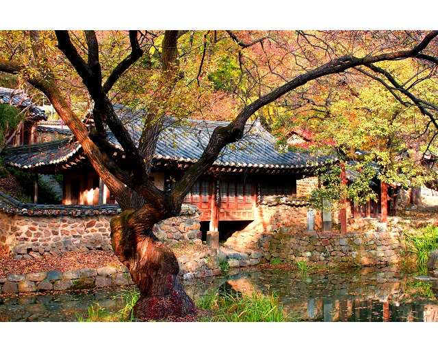 10월 대전 인생사진관 사진찍기 좋은 대전명소