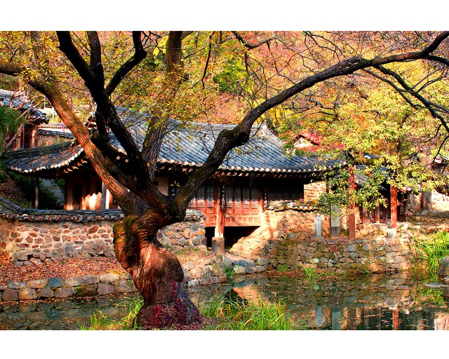  10월 대전 인생사진관 사진찍기 좋은 대전명소