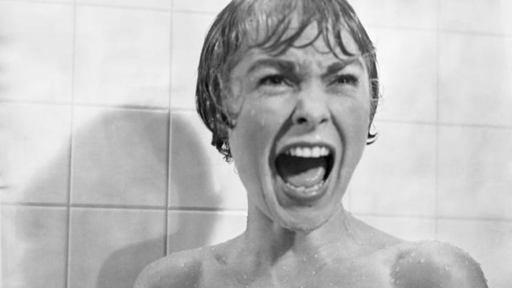  영화 싸이코(Psycho, 1960) / 알프레드 히치콕(Alfred Hitchcock) 맥거핀(Macguffin)
