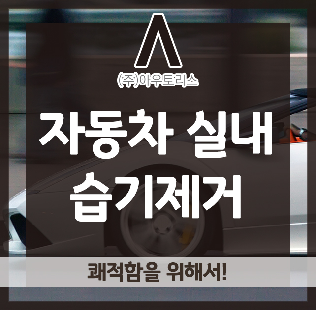  자동차 실내 습기제거, 쾌적함을 위해서!