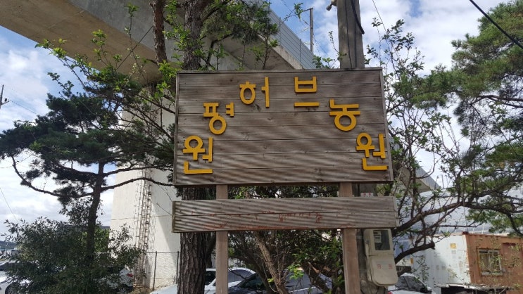  10월 3일 개천절..원평허브농원에 가다