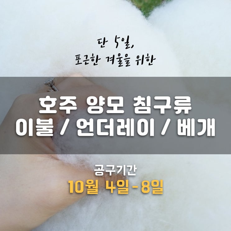  [호주사는친구] 올 겨울 한파도 문제없어!  뽀송뽀송 호주양모이불 / 양털언더레이/ 양모베개 공구 