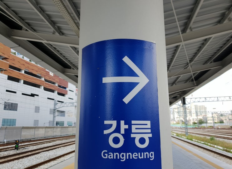  ktx 타고 떠나는 당일치기 : 쉿!크릿 강릉, 명품 웰니스 여행