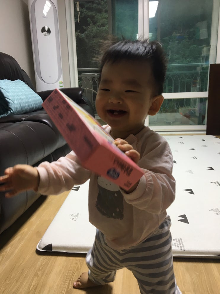  생후 373일