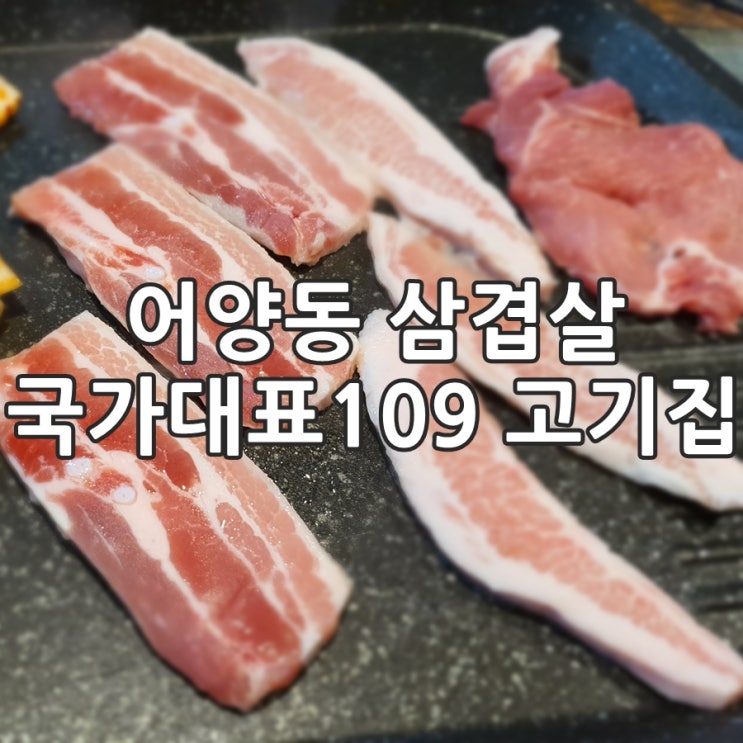  익산 어양동 삼겹살 국가대표109 고기집, 회식장소 굿!