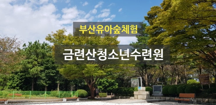  부산유아숲체험 금련산 청소년수련원(부산아이데리고갈만한곳추천)