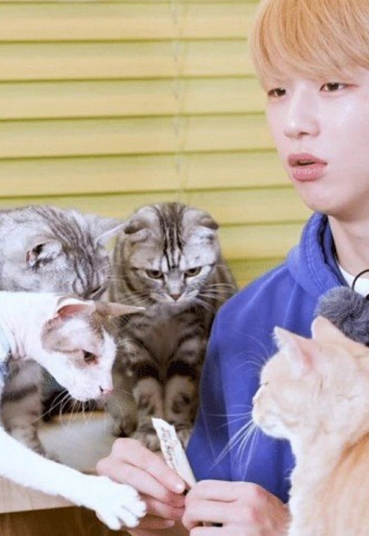  강다니엘
