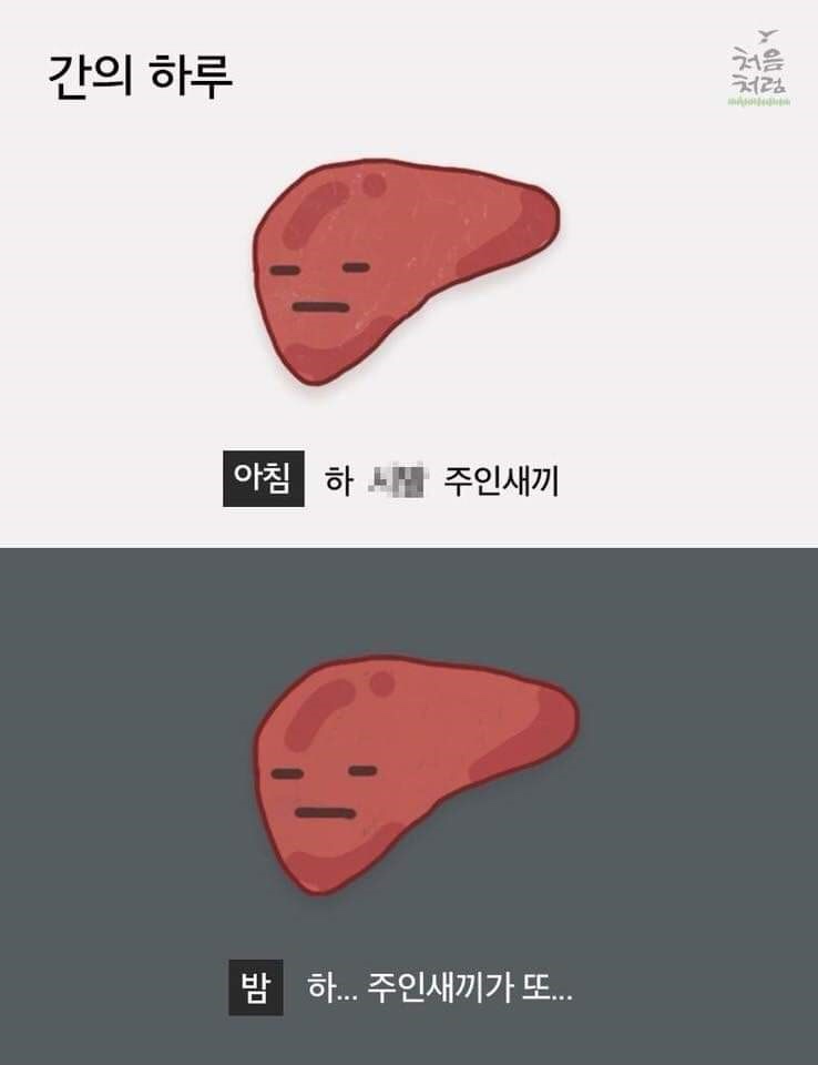  [숙취해소제]_ND247 + ND365 네버다이 피로회복제