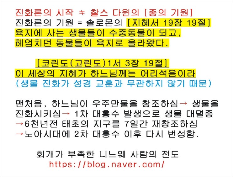  보드판 전도글, 양면 (2019년 10월 서초역, 광화문, 대학로, 여의도축제, 거리 활동)
