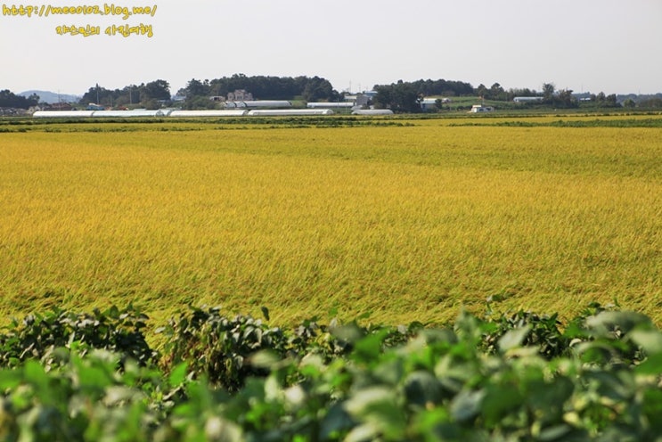 당진 원머리성지 순례 여행지 가톨릭 문화유산을 찾아서