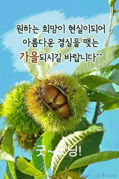  조민 인터뷰