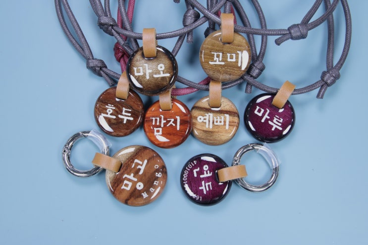  보석같은 강아지 이름표 망고 연두꺼 등등