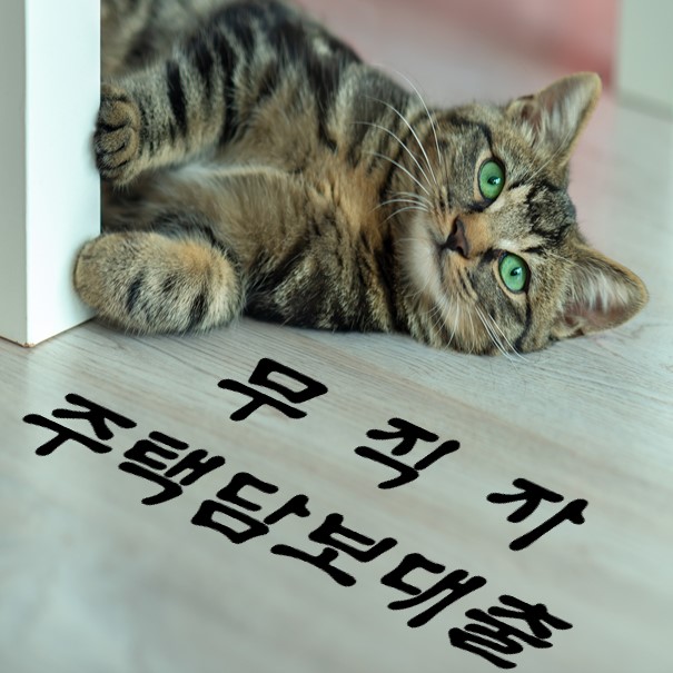  무소득자, 무직자 주택담보대출 2%대로 적용받을 수 있습니다!