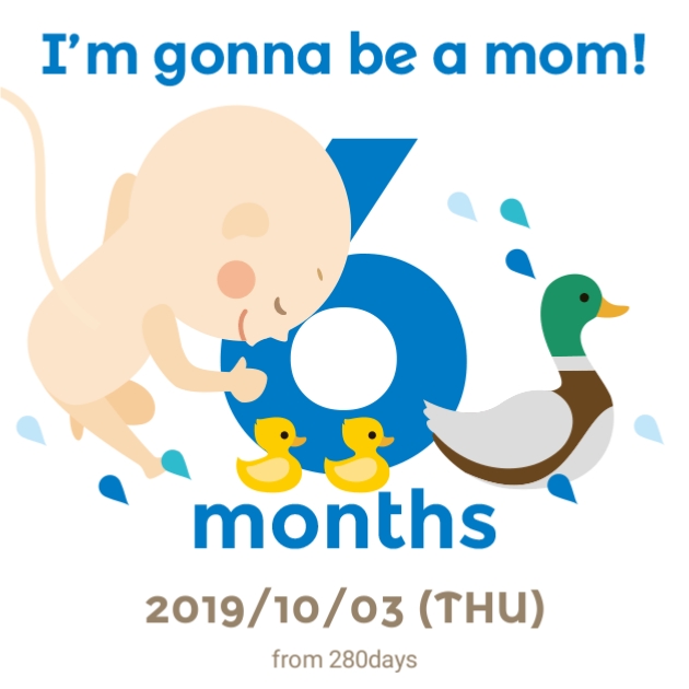  10/3 (20주 0일)