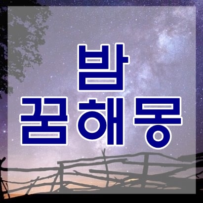밤꿈 해몽 태몽부터 밤줍는꿈까지 다양해요 : 네이버 블로그