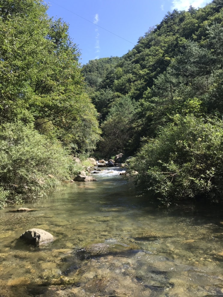  [20190916] 이직 기념 낚시 여행 9 : 피날레 편