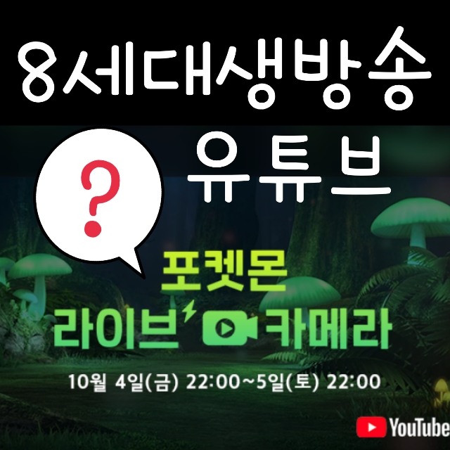  포켓몬스터 소드 실드 : 포켓몬 라이브 카메라 생방송 링크
