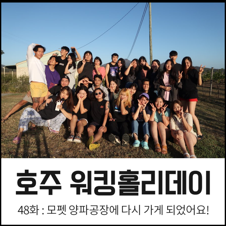  호주 워킹홀리데이 :: 모펫 양파 공장, 다시 가요! 현실적인 준비물 알아보기~
