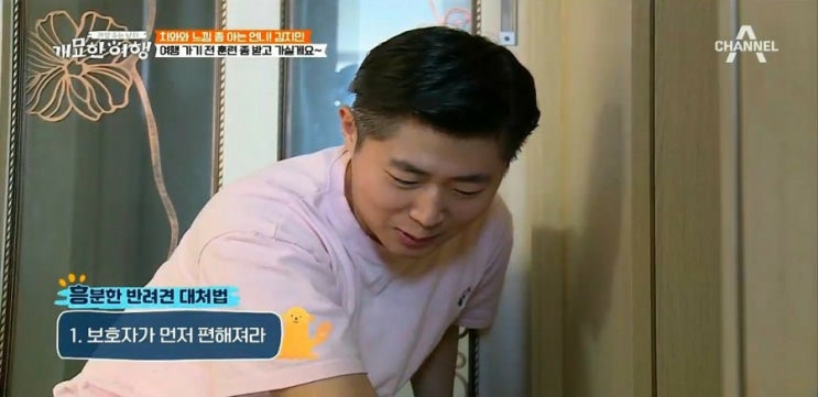  애견 방문 훈련 강아지 짖음 교육 반려견 분리불안의 비밀